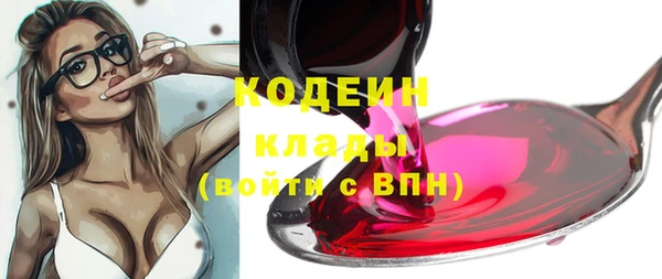 гашик Абаза